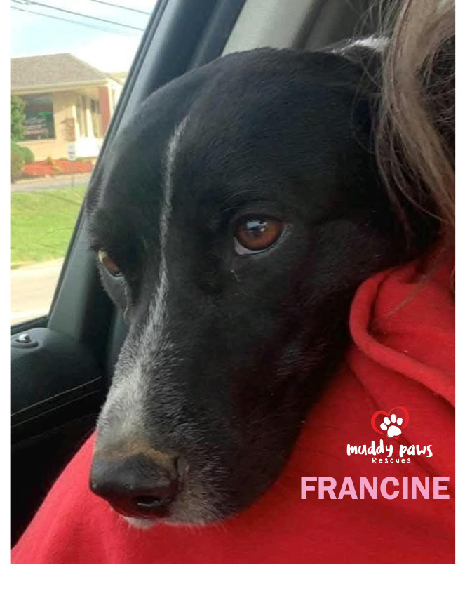 Francine