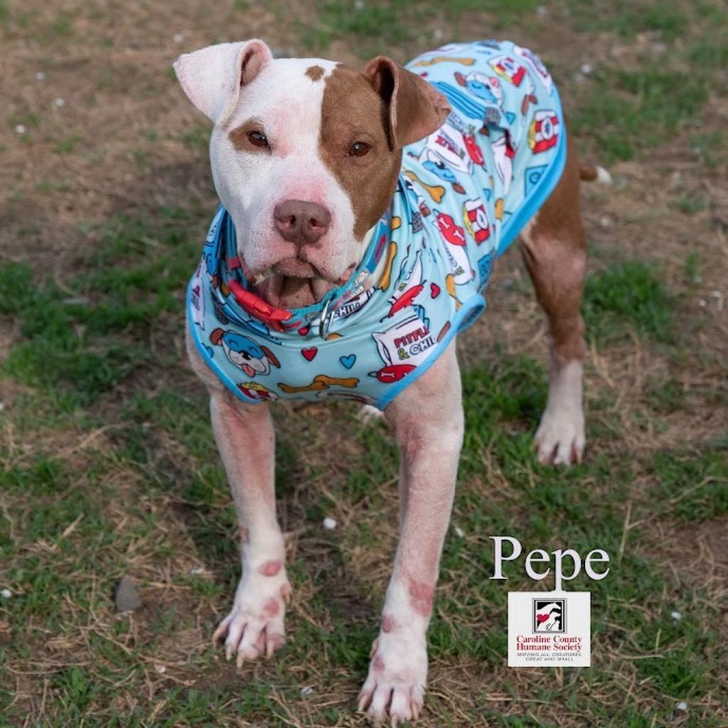 PePe