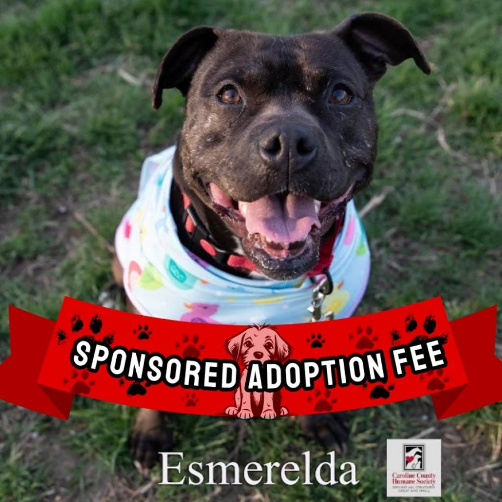 Esmerelda