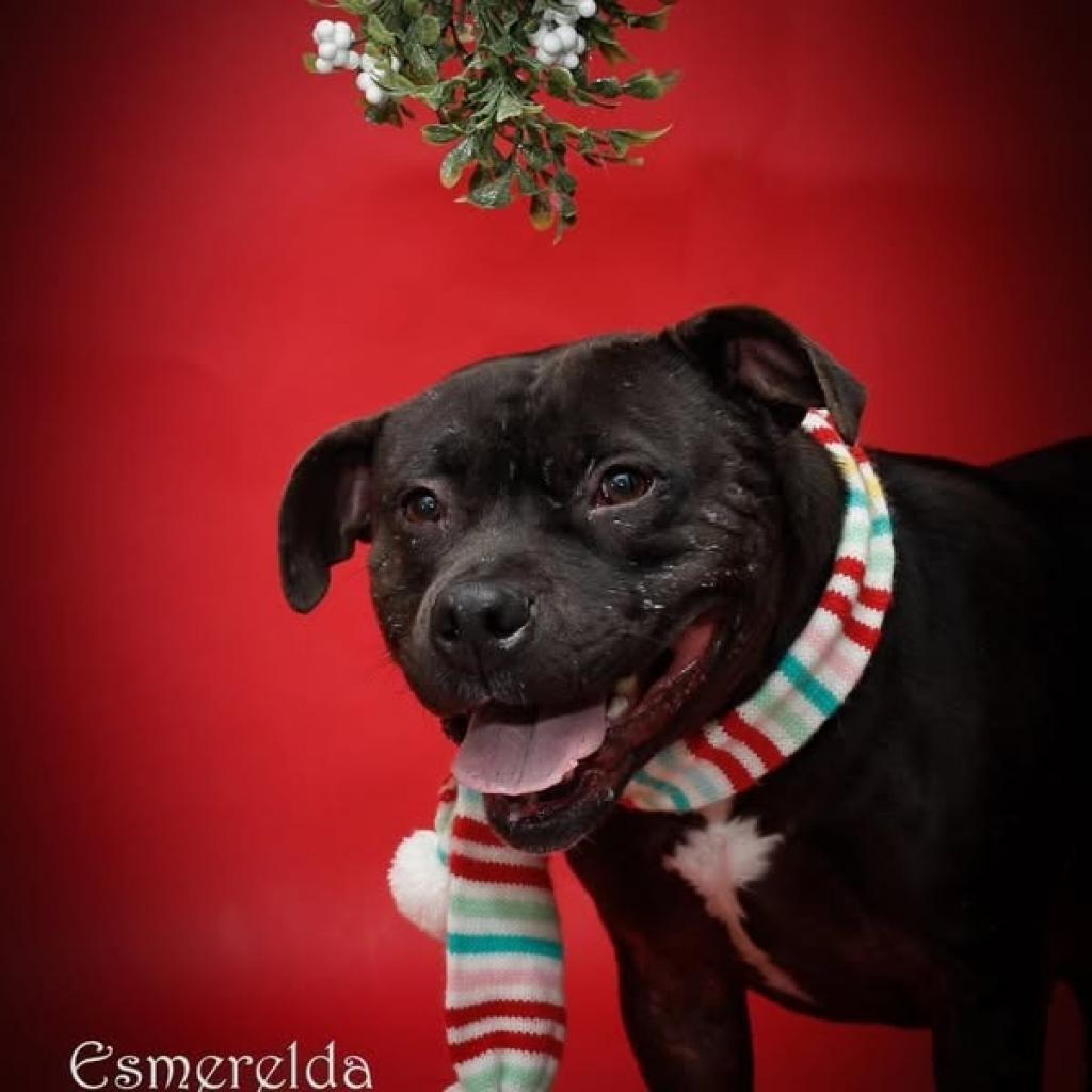 Esmerelda
