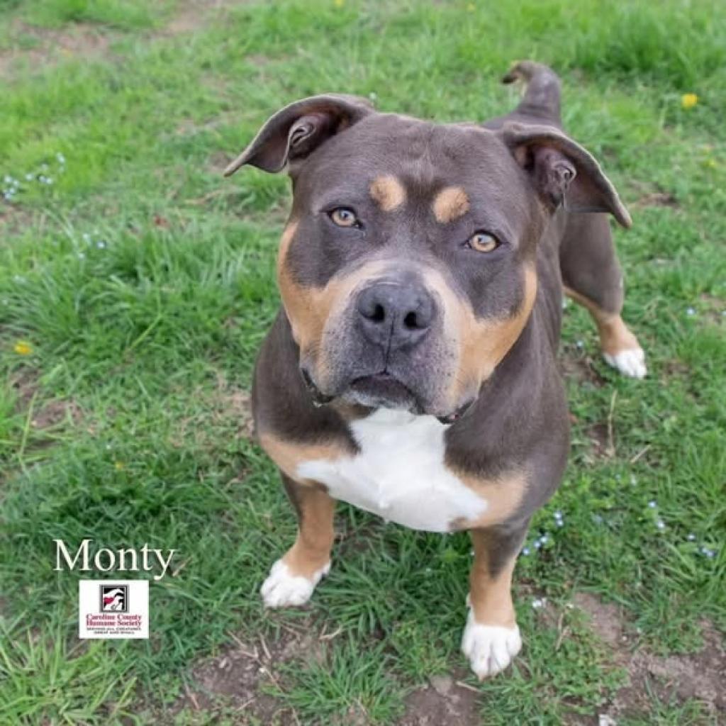 Monty