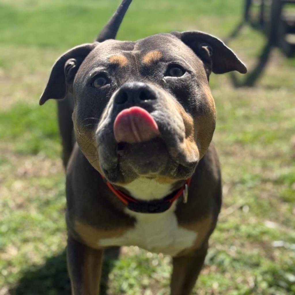 Monty