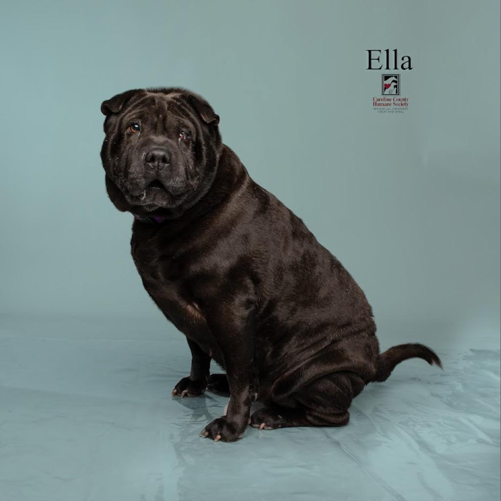 Ella