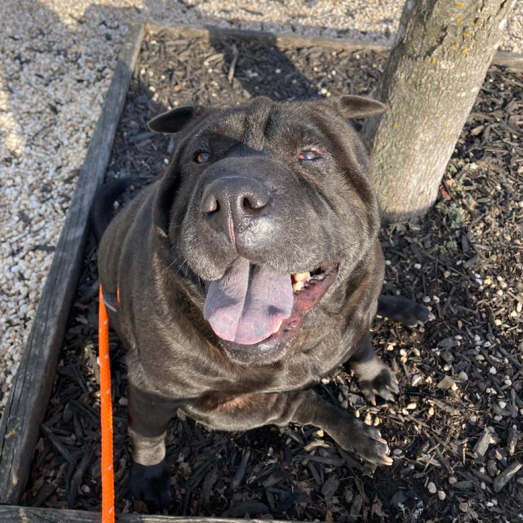 Ella