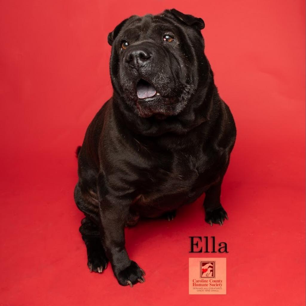 Ella