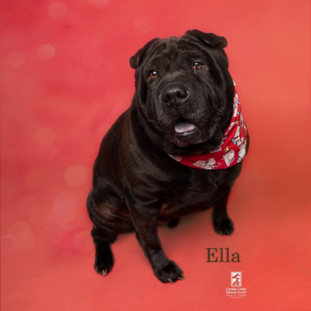 Ella