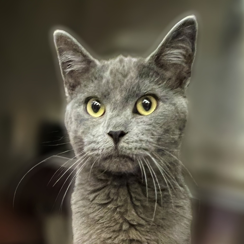 Sam