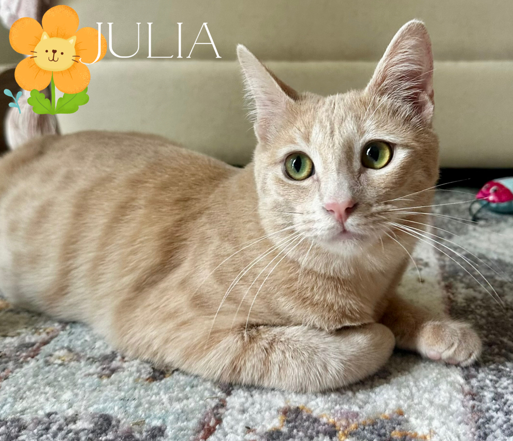 Julia