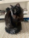 kat photo 2
