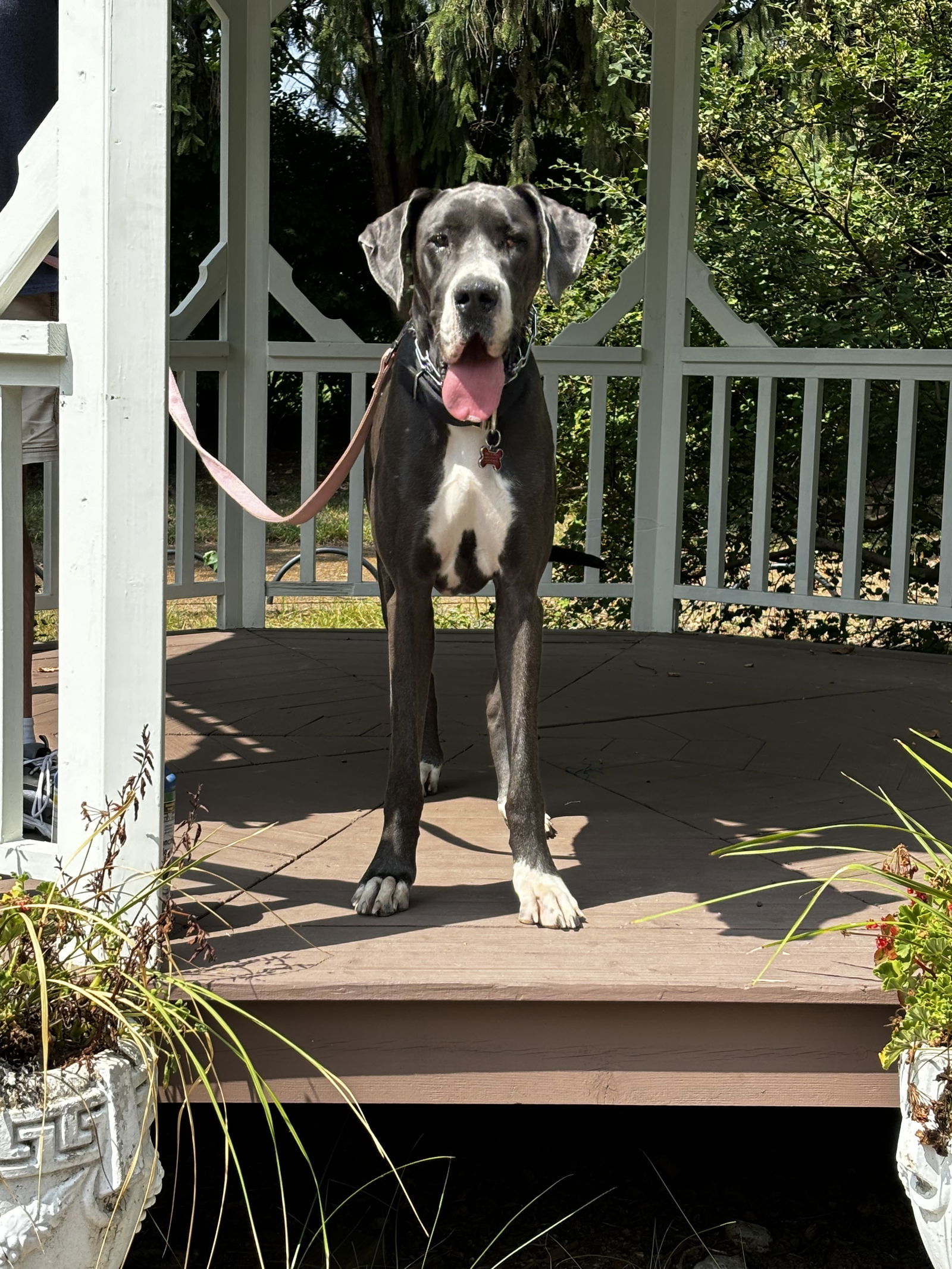 Luna