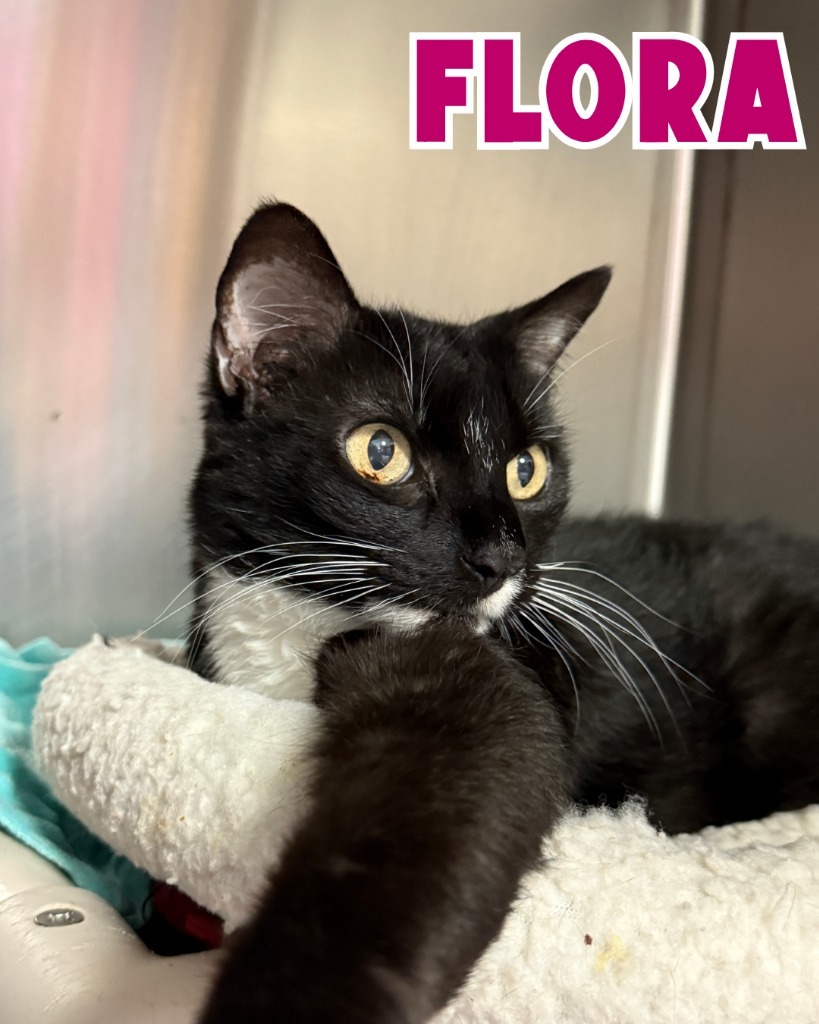 Flora