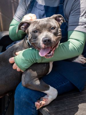 Flyberry came out for her photo shoot and she was a doll She was playful and sweet and enjoyed bein