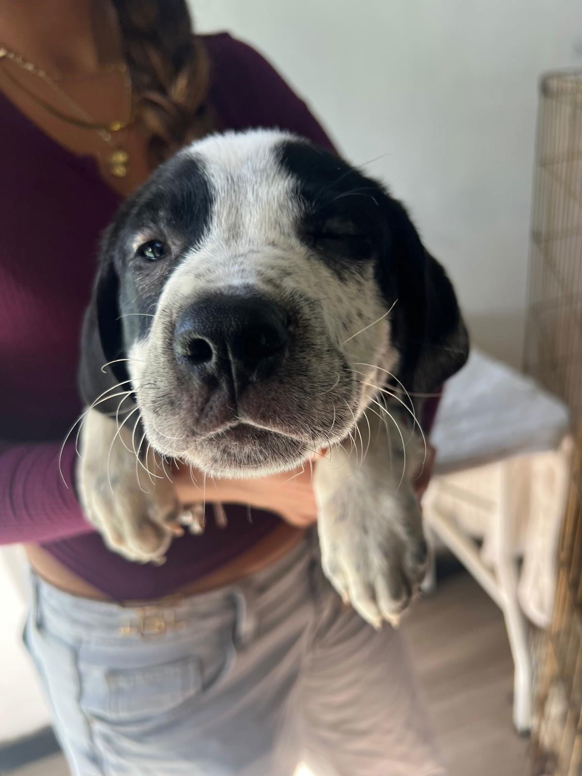 Truffle