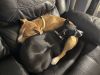 Bailey/Kiera photo 2