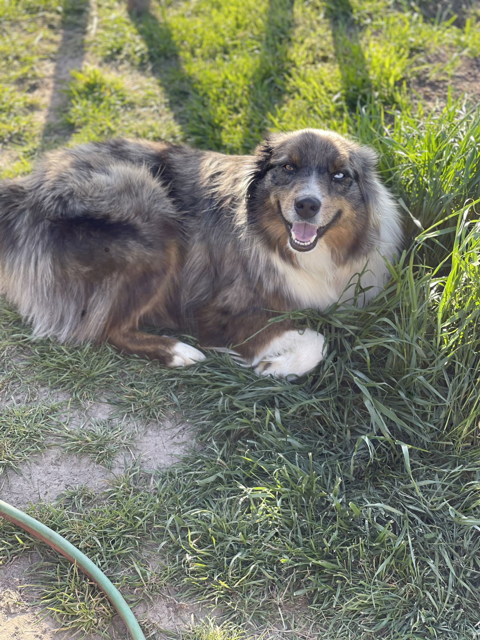 Cooper