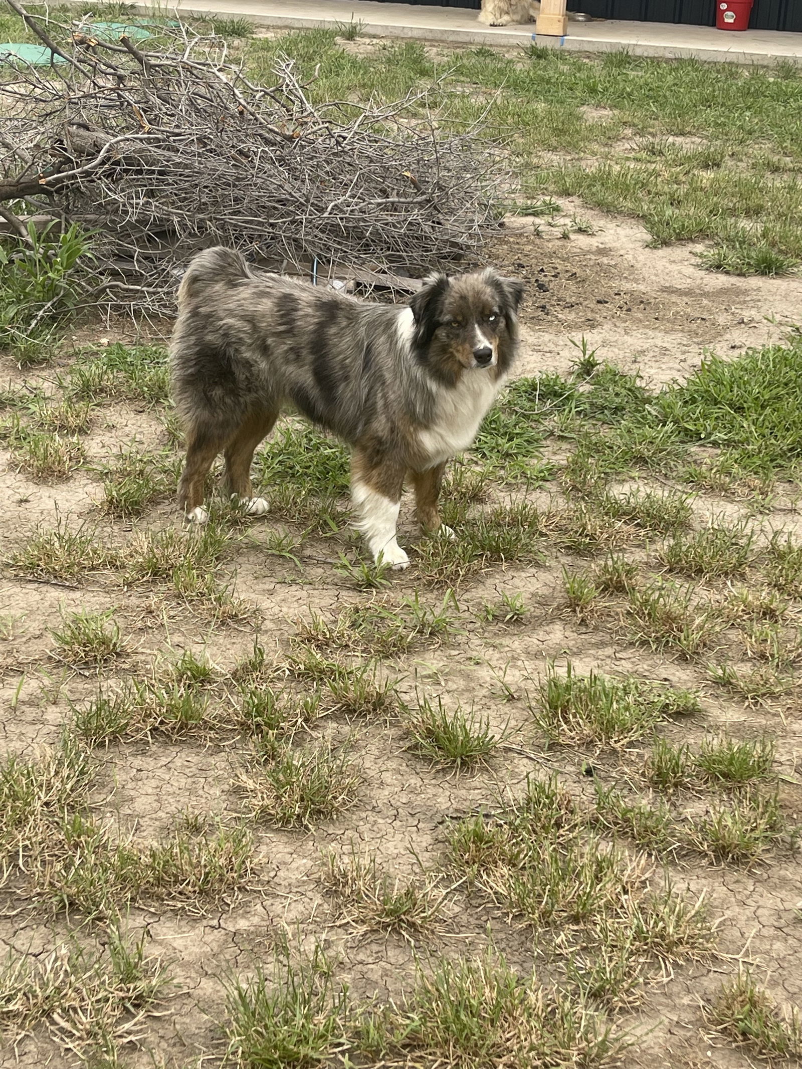 Cooper