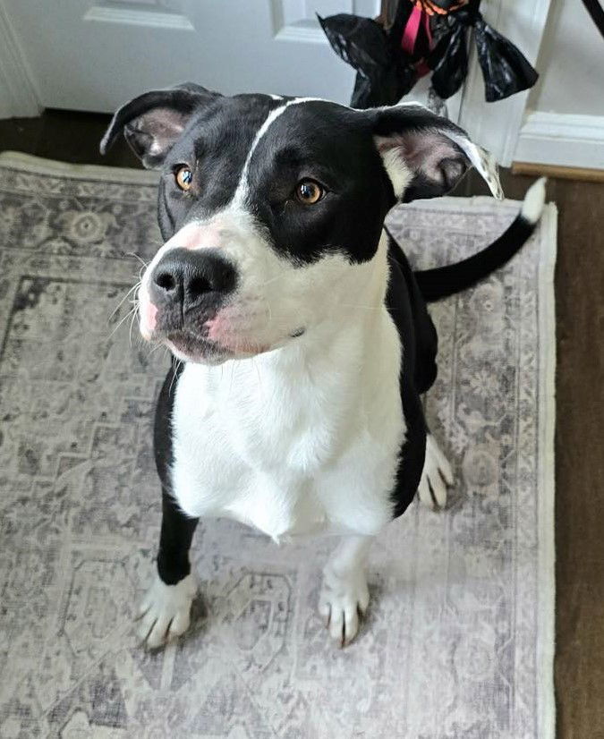 Marley