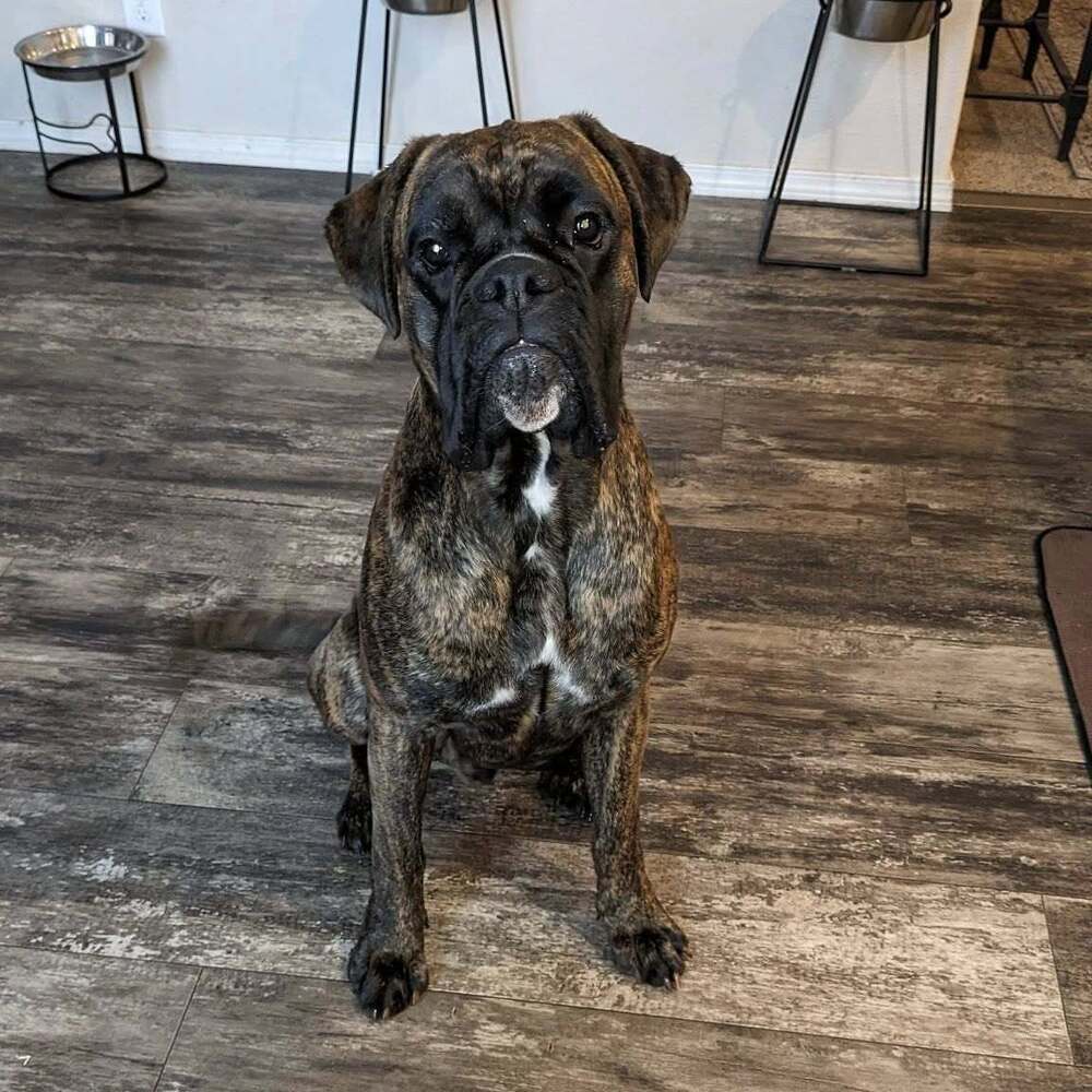 Ares
