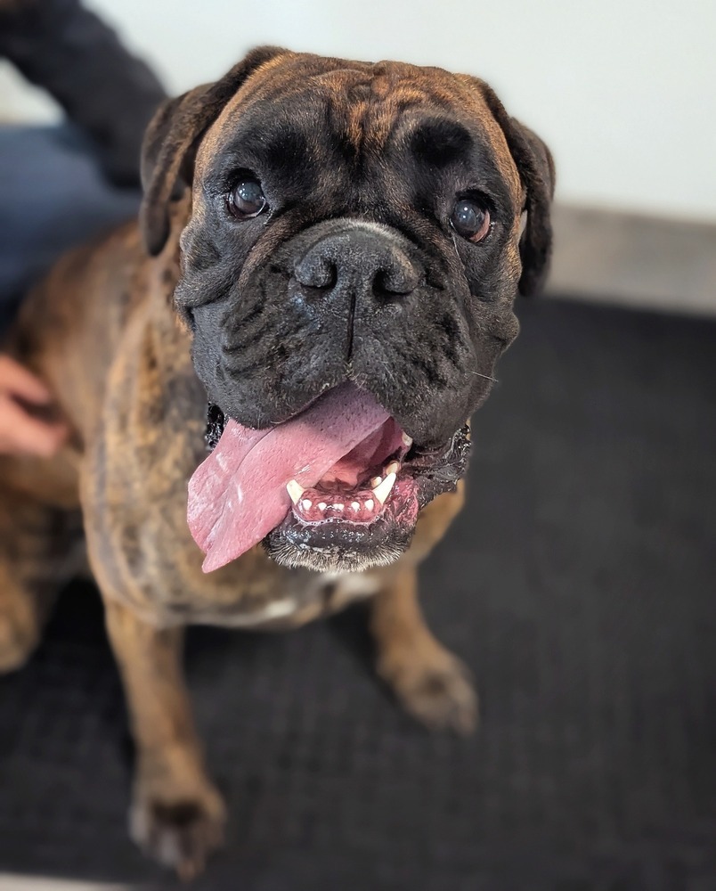 Ares