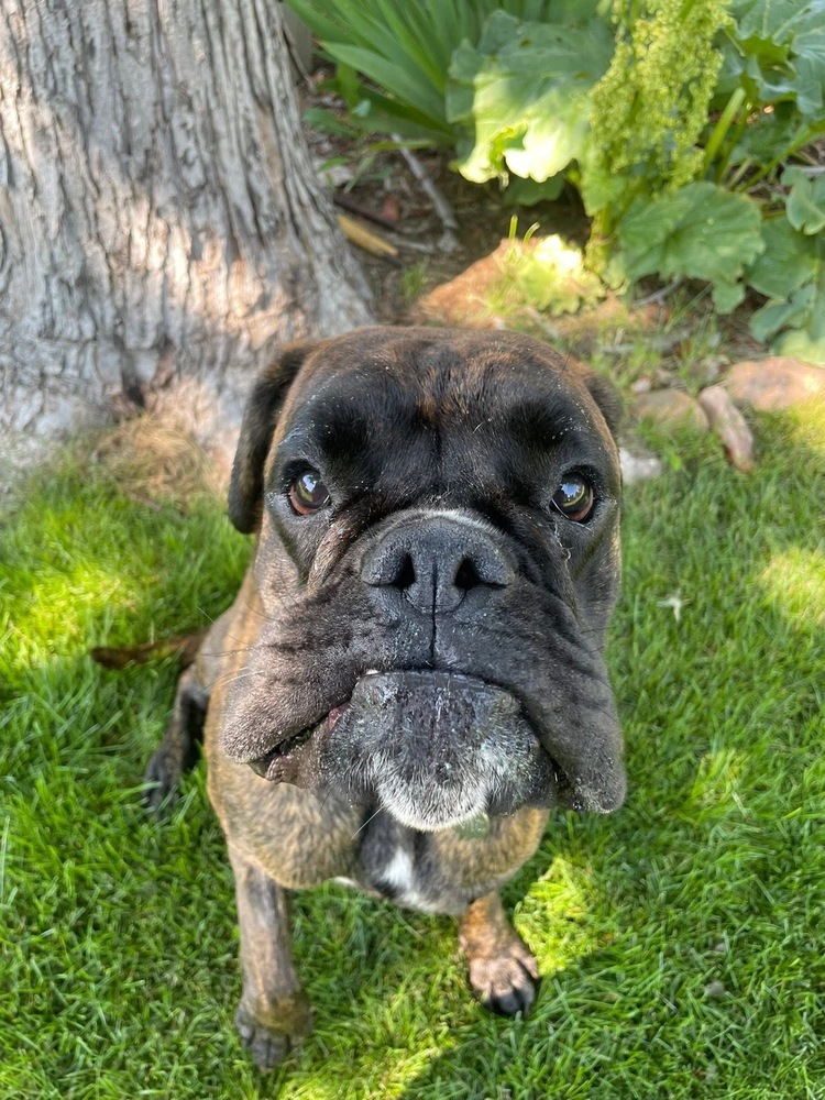 Ares