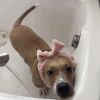 Tucker photo 5