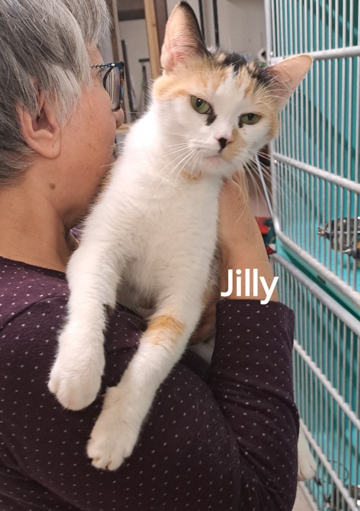 Jilly