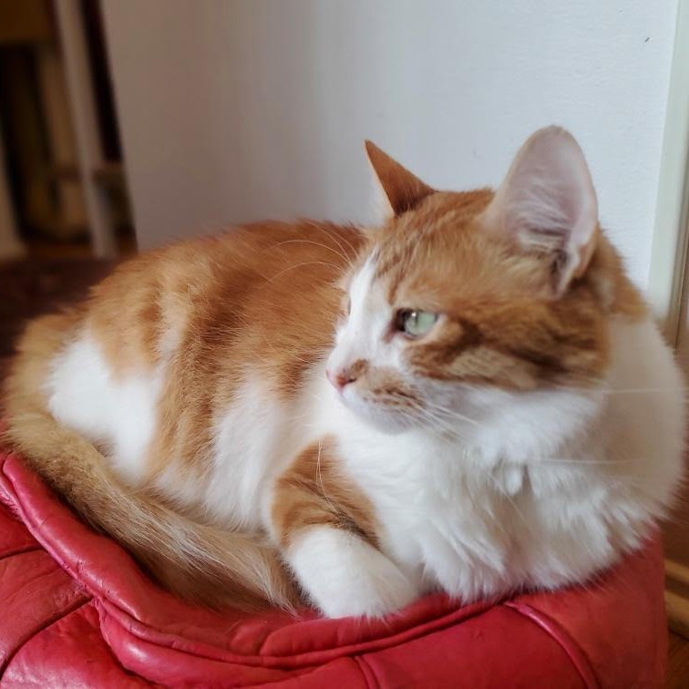 Eros