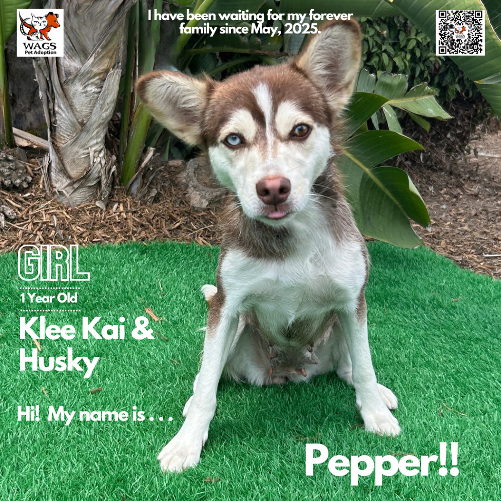 Pepper