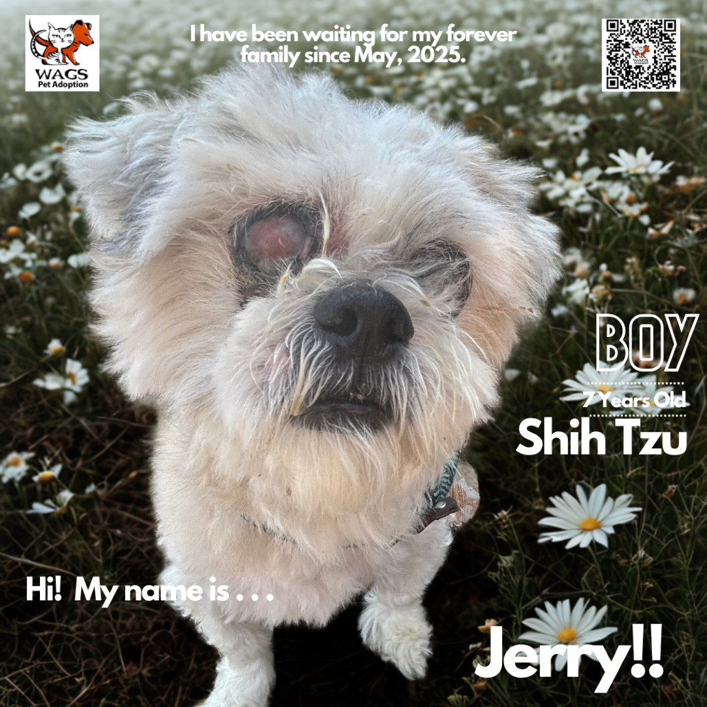 Jerry