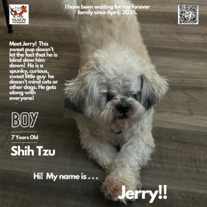 Jerry