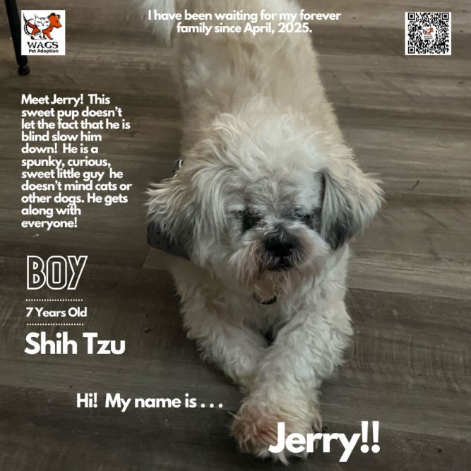 Jerry
