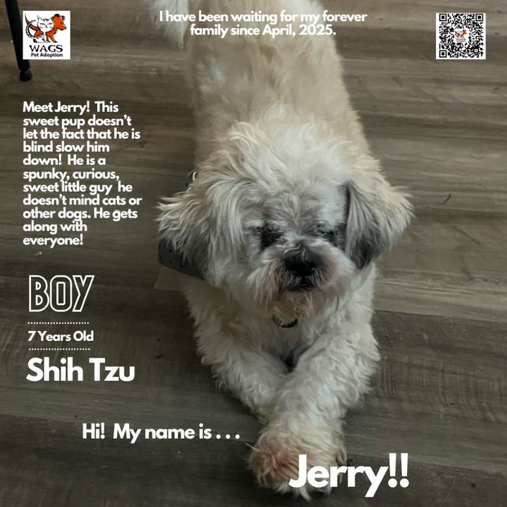 Jerry 1