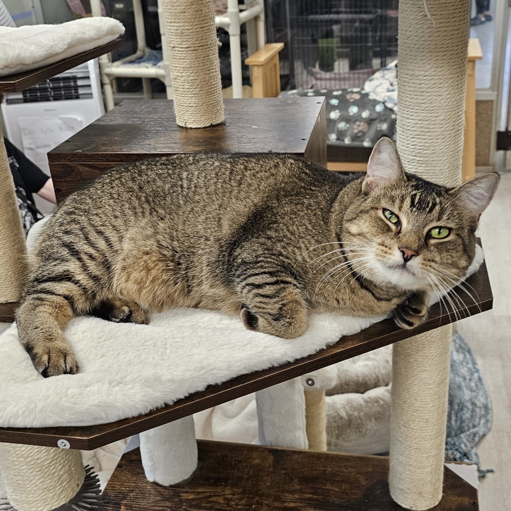 Peanut