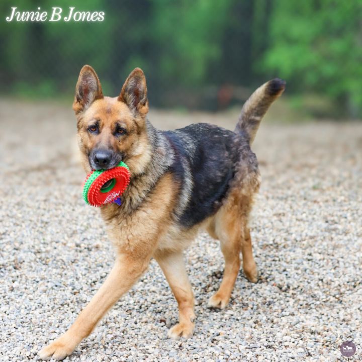Junie B Jones 4