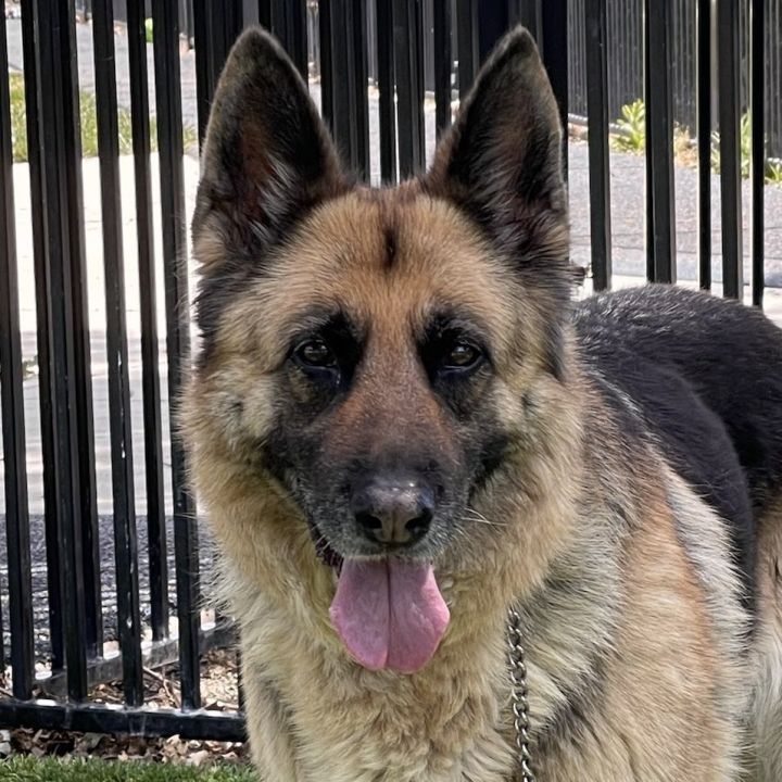 Willow - ECAS 1