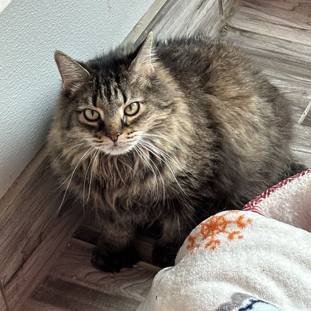 Ethel