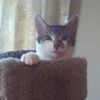 Louie photo 2