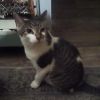 Louie photo 4