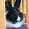 Kareem Abdul Ja-Bun photo 2