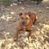 Rusty photo 6