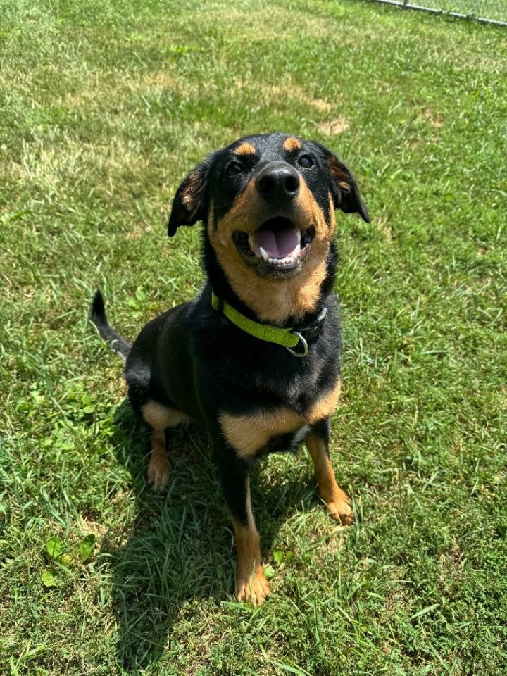 Charlie 1