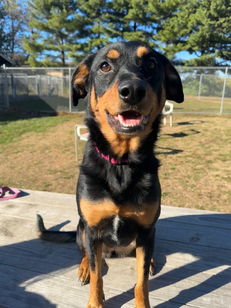 Charlie