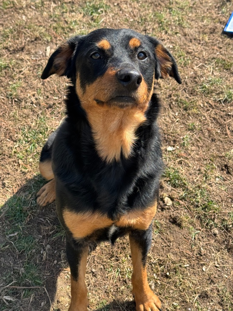 Charlie