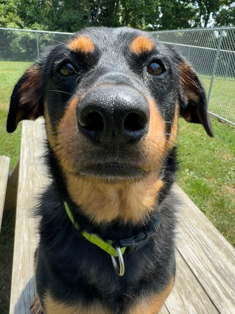 Charlie