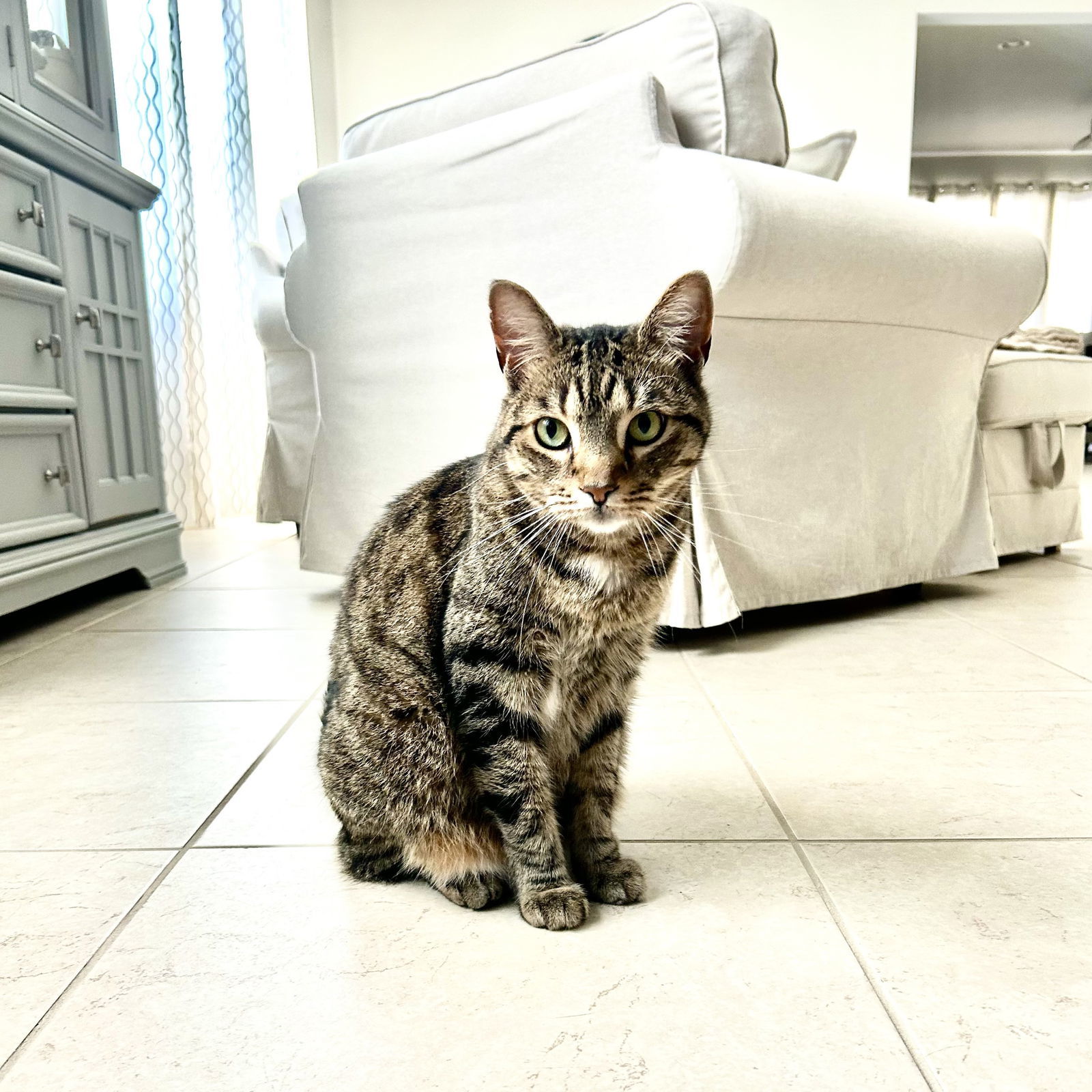 Coco