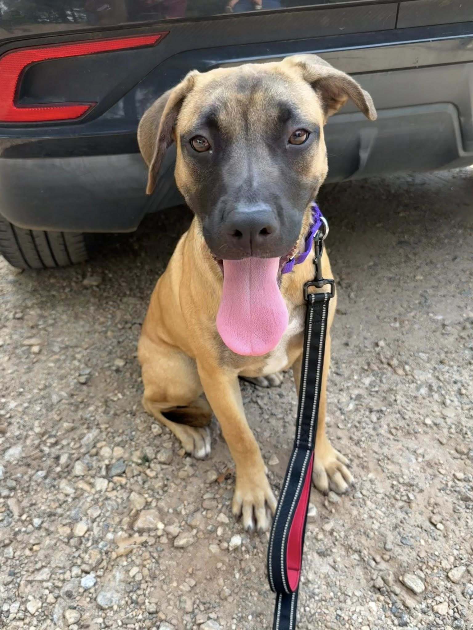 Janet *FOSTER NEEDED TOO!