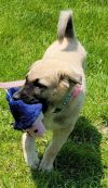 Tess photo 3
