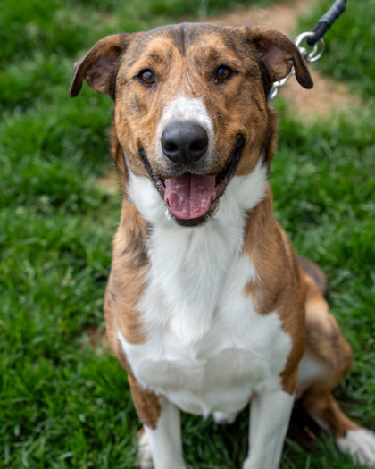 Zeus