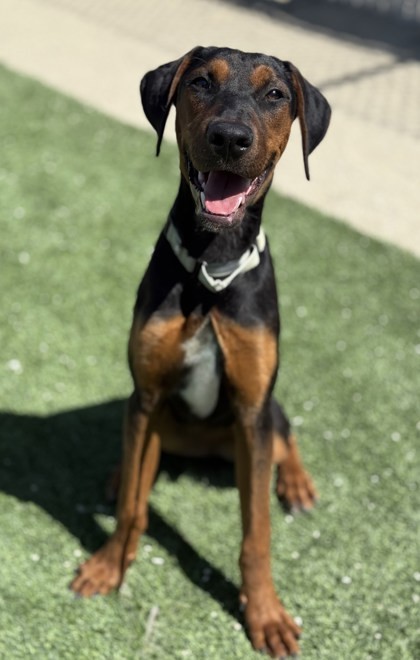 Juno