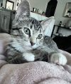 Lola photo 4